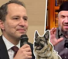 Fatih Erbakan'ın 'dinimizde yeri yok' sözüne ilahiyatçı İhsan Şenocak'tan cevap: 'Peygamberimiz başıboş köpeklerin öldürülmesini emretti'