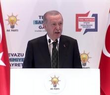 Cumhurbaşkanı Erdoğan sokak köpeği konusundan teşkilata net uyarılarda bulundu...
