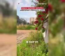 Mersin'de korkunç infaz! Öldürdükleri anları videoya çektiler