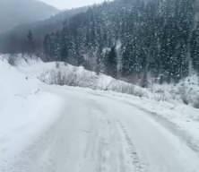 Artvin'de &ccedil;ığ meydana geldi