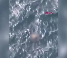 İstanbul Boğazı’nda 2 saat arayla 2 erkek cesedi bulundu