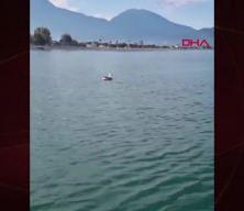 Balık yakaladığını sandı, oltadan martı çıktı