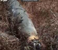 Gazze'de İsrail askerleri Amerikan bombasıyla vuruldu! Kudüs Seriyyeleri yayınladı