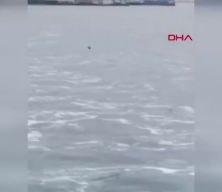 Kadın vapurdan düştü: Korku dolu anlar kameralara yansıdı!