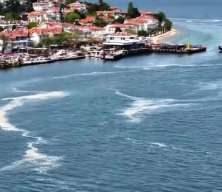 Marmara'nın kabusu geri döndü! 