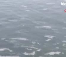 Marmara'nın kabusu geri geldi