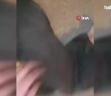 ‘Anama, bacıma sövdüğü için bıçakladım, bakın ölüyor’