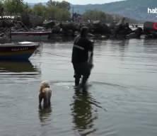 Ordu'da dedesinden öğrendi, günde 50 kilo balık yakalıyor!