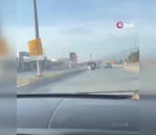 Ana yolda deve kuşunu gören sürücünün tepkisi herkesi güldürdü