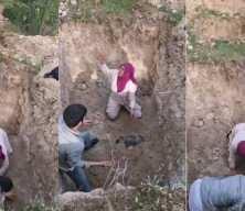 Bursa'da akılalmaz olay! Köpek cesetlerini mezardan çıkarmaya çalıştılar, beddualar ettiler!