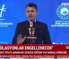 Murat Kurum'dan müjde! 2B araziler ile ilgili sorunlar çözülüyor