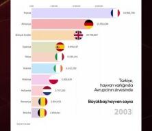  Türkiye, hayvancılıkta Avrupa'nın zirvesinde