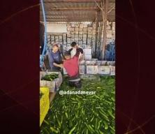 Adana'dan mide bulandıran görünütüler