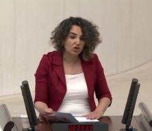 DEM Partili Milletvekili LGBT'lileri savundu!