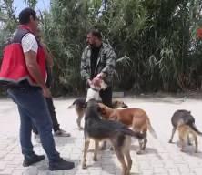 Hatay'da 4 mahalle karantinaya alındı