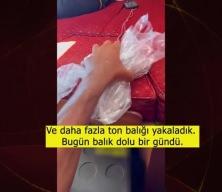 Londra'dan Mekke'ye Hac için deniz yolunu tercih ettiler