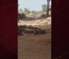 Nijerya'da feci kaza: 21 ölü 14 yaralı