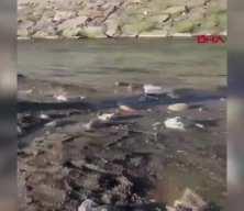 Dereye uçan araçtaki anne baba ve çocukları öldü 
