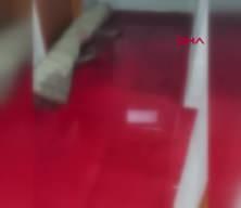 Gaziosmanpaşa'da kanalizasyondan gelen kurban kanı 2 daireyi bastı