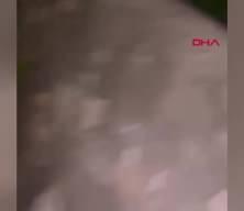 Kırşehir’de sel felakete neden oldu