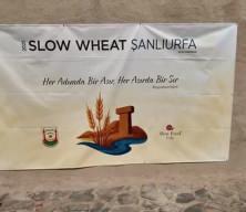 Şanlıurfa'da "Uluslararası Buğday Festivali" başladı
