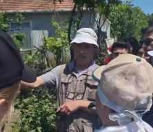 Uzmanından yaprakları maydanoza benzetilen zehirli baldıran otu konusunda uyarı