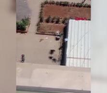 11'inci kattan düşen reklam oyuncusu hayatını kaybetti