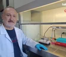 Bu sineğe dikkat! 'Ölüme kadar götürüyor'
