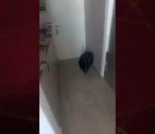 İran İsrail'e füze yağdırmaya başladı! İisrail'de yine sirenler çalmaya başladı