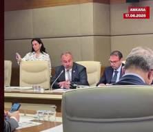 Mustafa Varank: Bizde hırsıza hırsız denir