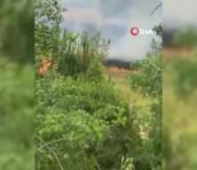 Safranbolu’da anız yangını paniği: Ekipler zamanında müdahale etti