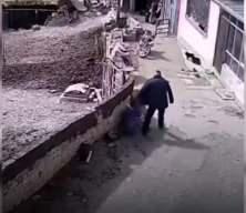 Saldıran sokak köpeğini duvarın arkasına fırlattı