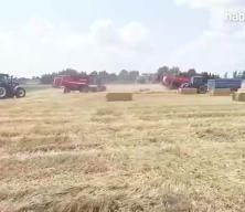 Çiftçilere müjdeli haberi Bakan Yumaklı açıkladı!