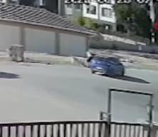 Bursa’da iki kangalın saldırısına uğrayan kadın ve köpeği kanlar içinde kaldı