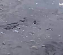 Endonezya'daki yanardağdan düşüp 4 gün mahsur kalan turist ölü bulundu!