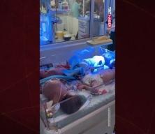 Gazzeli bebekler hayatta kalma savaşı veriyor
