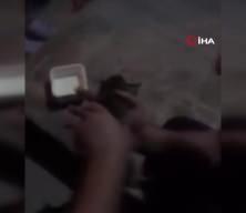 Kalbi duran yavru kediyi kalp masajı ile hayata döndürdüler