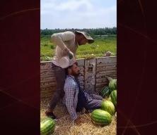 Karpuz tarlasında çalışan işçi aşırı sıcaklara dayanamadı! 