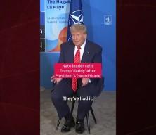 Rutte'den Trump'a "baba" benzetmesi