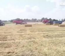 345 milyon TL tarımsal destek ödemesi çiftçilerin hesabına yatırılıyor