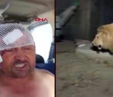 Aslan saldırısına uğrayan vatandaş dehşet anlarını anlattı