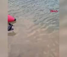 Baraj gölünde 100'er kilo ağırlığında 2 yayın balığı yakaladılar