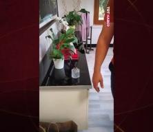 CHP'li Manavgat Belediyesi'nde 'yolsuzluk' operasyonunda ele geçirilenler şaşırttı