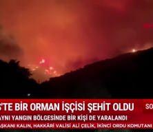 İzmir'in Ödemiş ilçesindeki yangında, orman işçisi İbrahim Demir şehit oldu