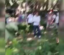 Kocaeli Gölcük'te ağaç dalı 3 kişinin üzerine düştü: Yaralılar hastaneye kaldırıldı