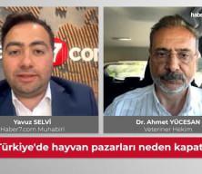 Şap hastalığı insana bulaşır mı? Uzman isim net konuştu