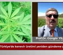 Endüstriyel kenevirde Türkiye önemli bir rol oynayabilir