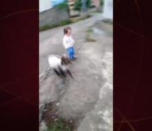 Babasını eve geldiğin gören küçük çocuğun mutluluğu herkesi tebessüm ettirdi