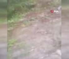 Bahçesini sulamak için içme suyu hattını deldi! 