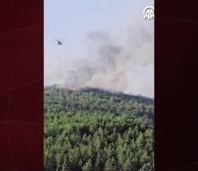 Balıkesir'deki orman yangınına karadan ve havadan müdahale ediliyor